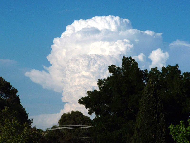 cumulonimbus